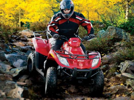 Arctic Cat 250 2x4