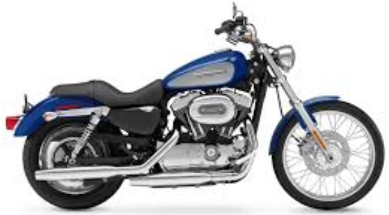 Harley Davidson XL 1200 Sportster Custom (2011-16)