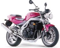 Triumph Speed Triple 955 (2002-04)