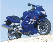 Triumph TT 600 (2002-03)